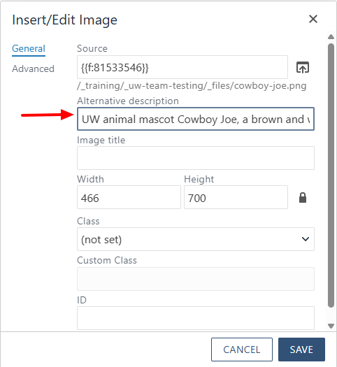 insert image alt text field