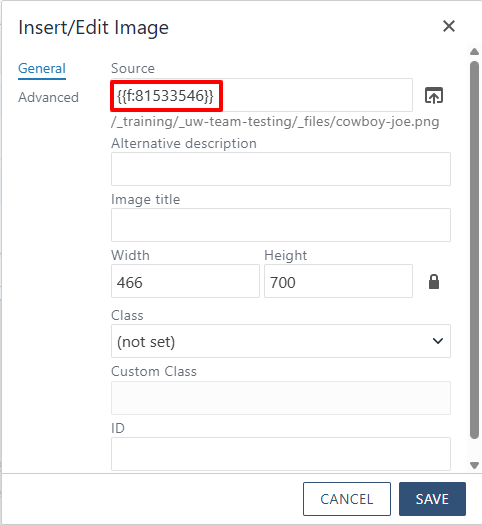 insert image dependency tag