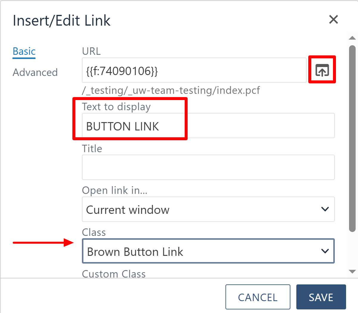 editing the button link and style screenshot
