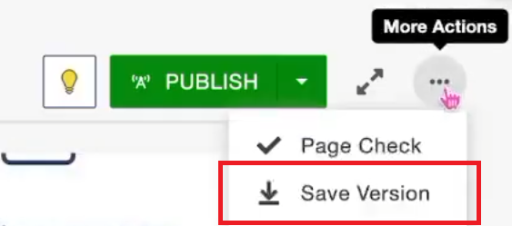 save version button