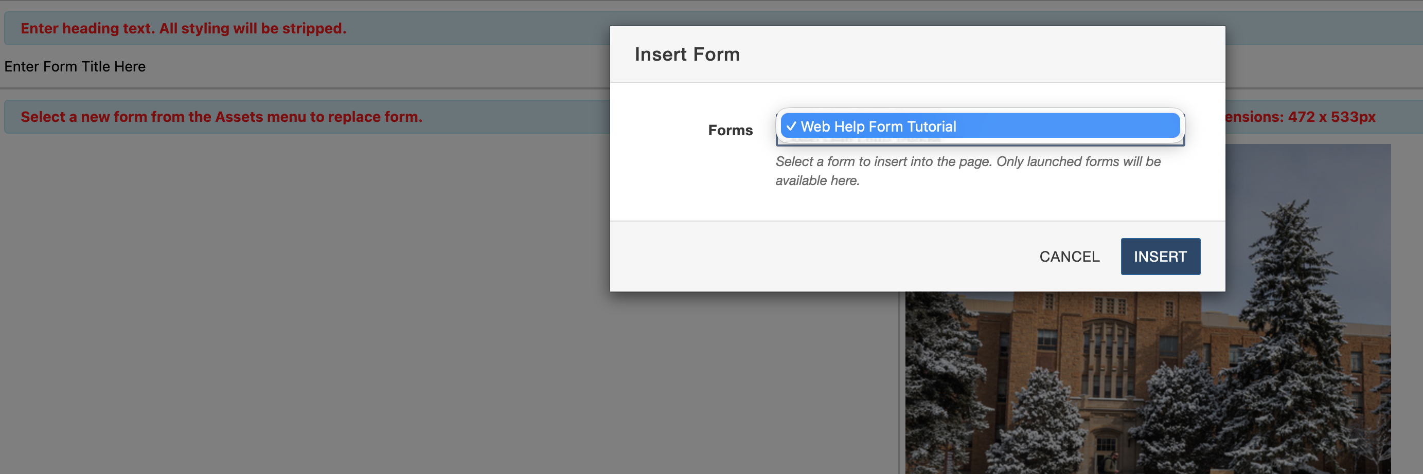 Pop-up window titled "Insert Form" over a webpage editing interface, with snowy trees partially visible.