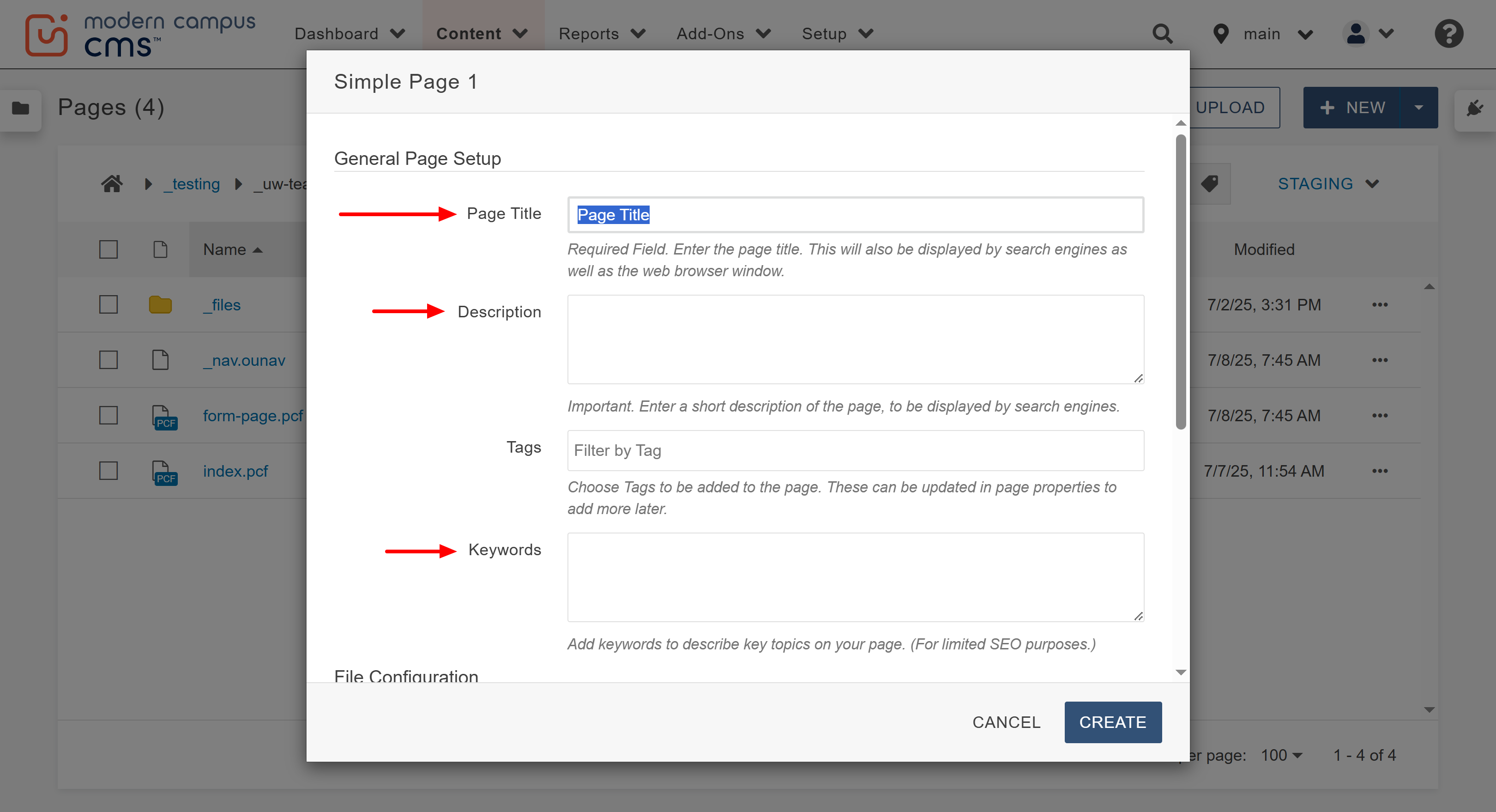 Step 3 of creating a new page, the general setup section