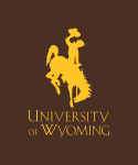 Decorative UW Steamboat Placeholder