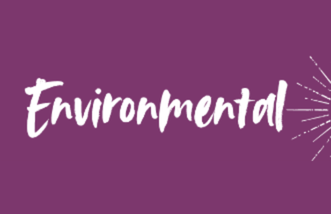 The word "Environmental" against a purple background