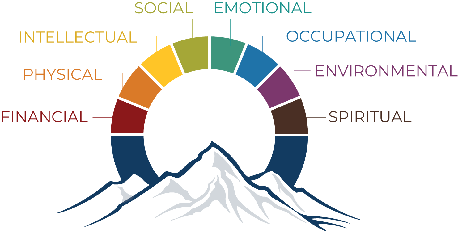 Wellness wheel