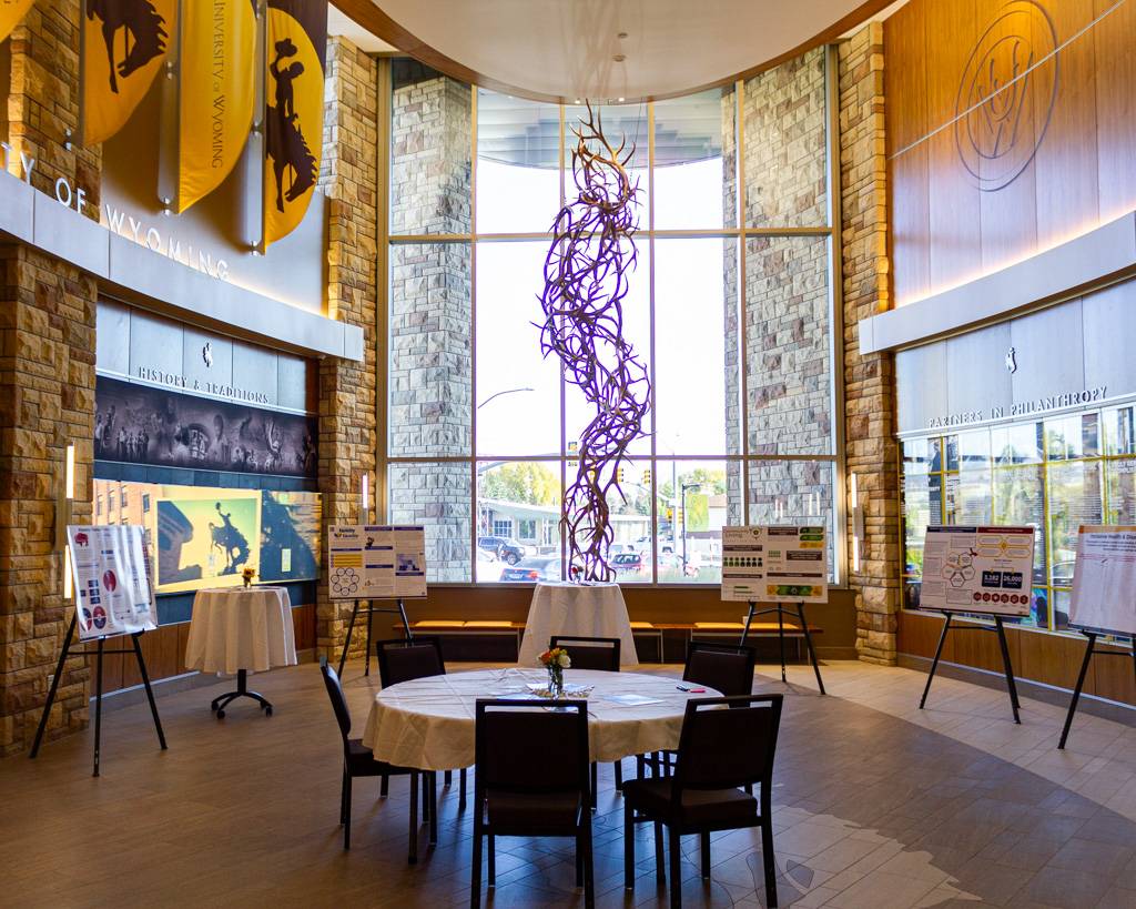 WIND posters encircling a bright, sun-lit room.