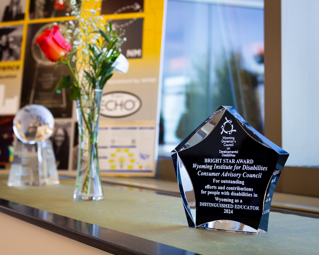 The Bright Star award given to the WIND CAC