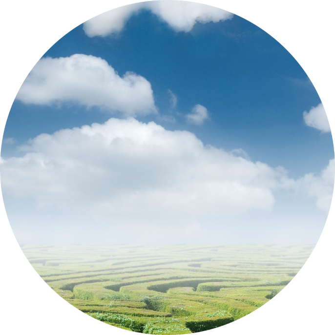 A green landscape with a slightly cloudy blue sky.