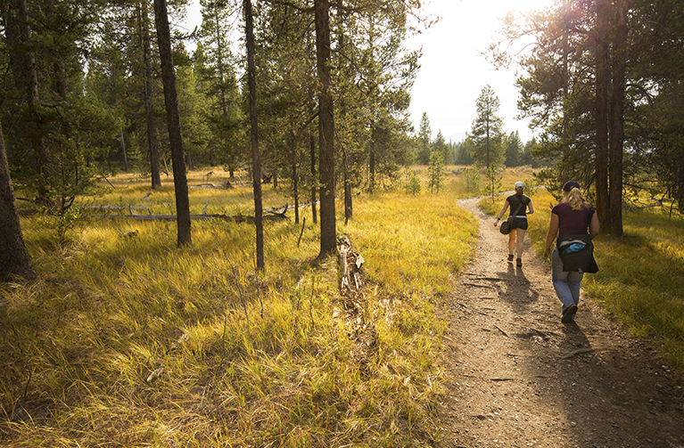 wyoming landscape with people walking