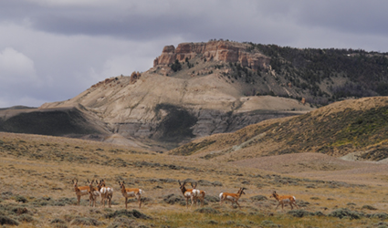 wyoming landscape