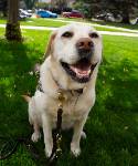 Olana Kappler -Guide Dog