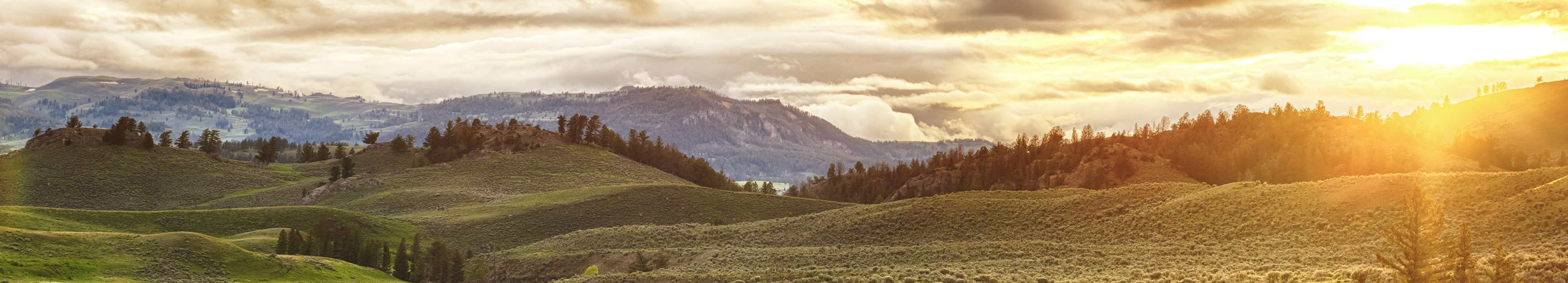Wyoming Landscape