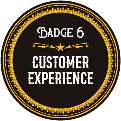 Badge 6