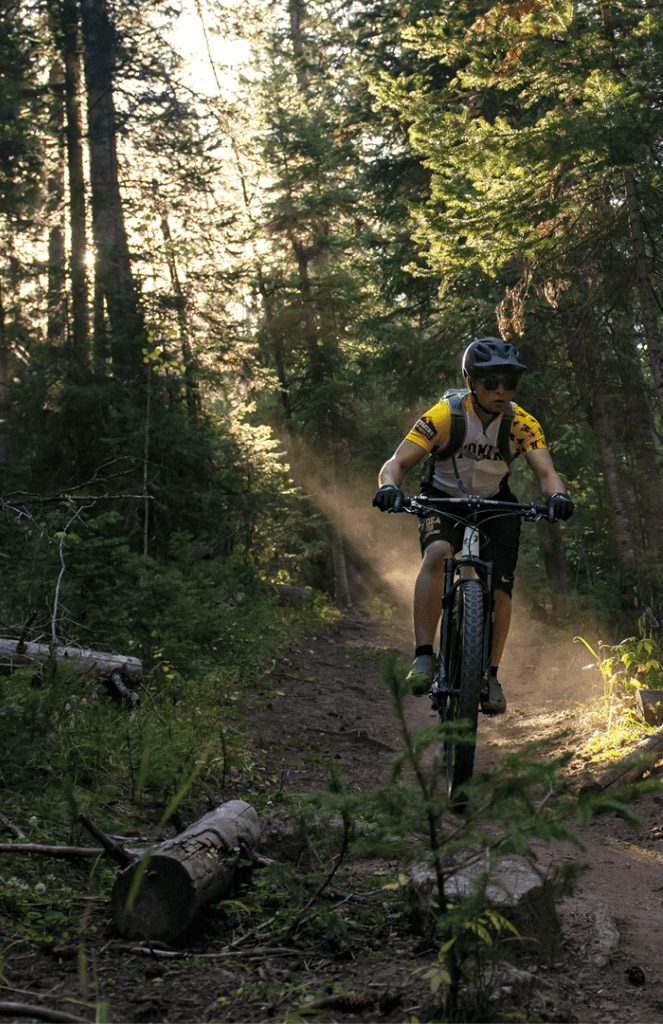 Mountain biking in forest
