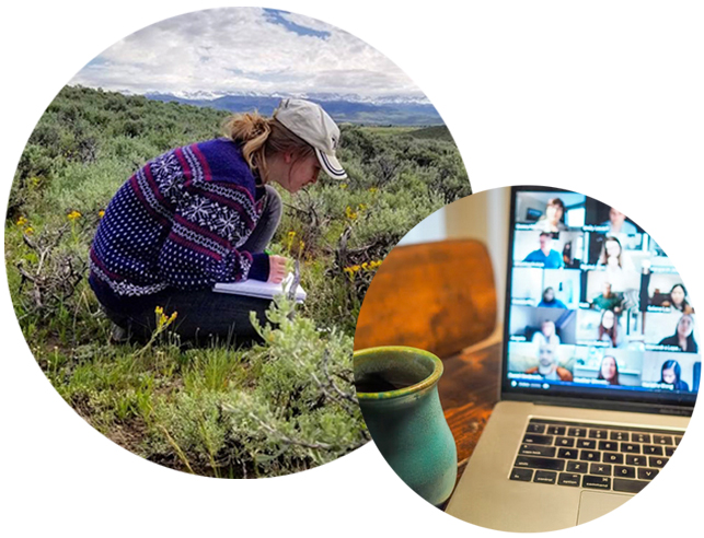 Student studying plants and a zoom meeting on a laptop
