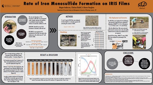 Megan Andersen Research Poster