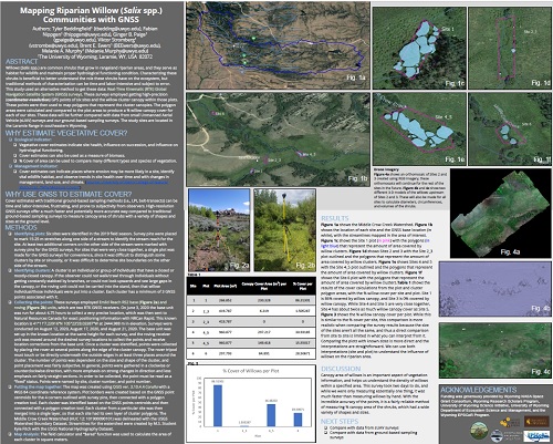 Tyler Beddingfield Research Poster