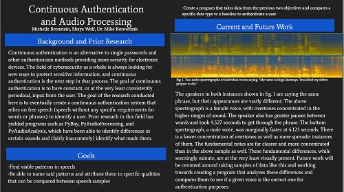 Michelle Bronstein Research Poster