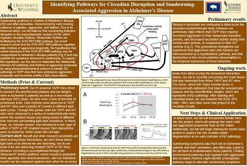 Hannah Rhymes Research Poster