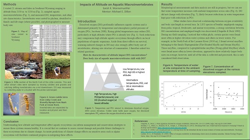 Sarah Wannemuehler Research Poster