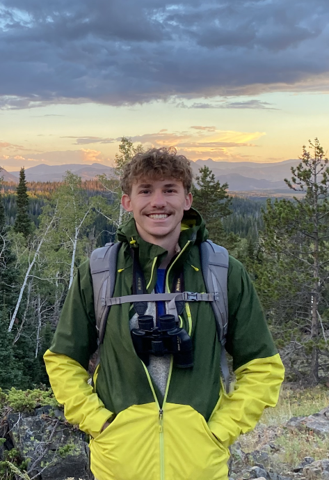 Ben hiking in a pine forest.