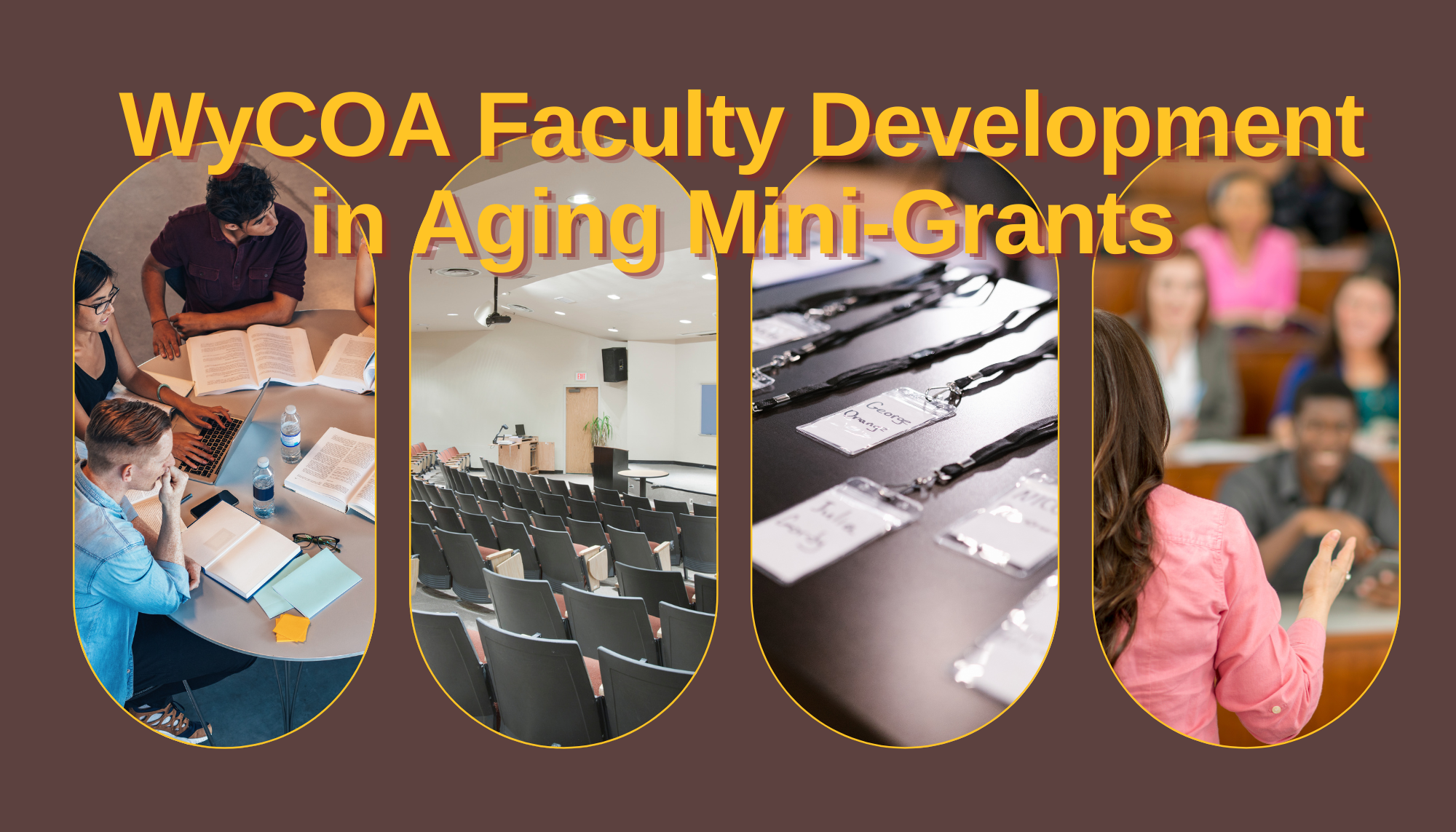 faculty mini grants