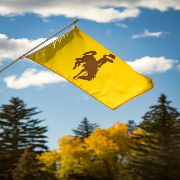 UW Flag