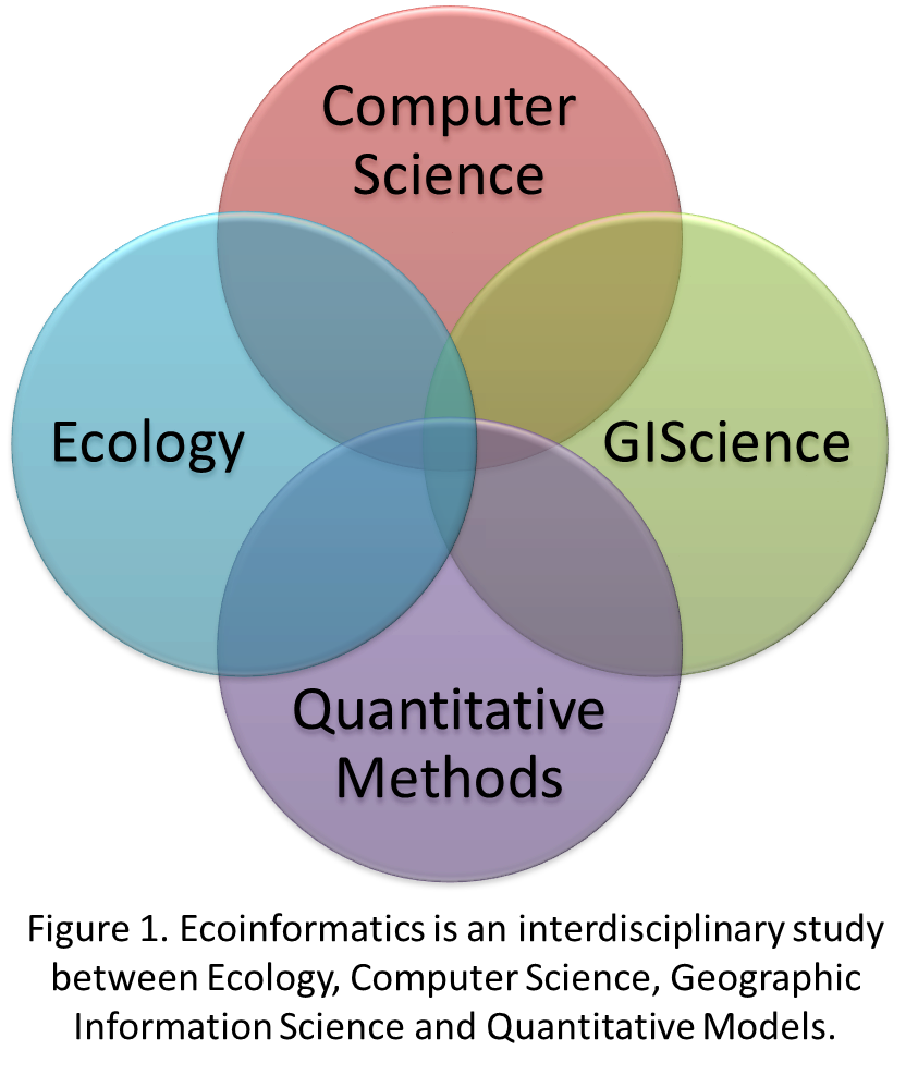 Ecoinformatics Diagram