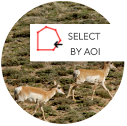 State Wildlife Action Plan logo