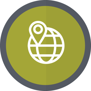 Globe and map icon