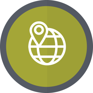 Icon of a globe