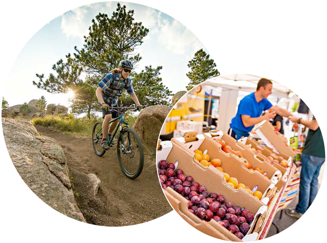 A person riding a bike on a trail and a fruit stall at a farmer's market.