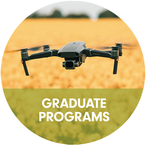 A drone in a wheat field.