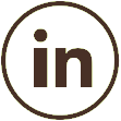 LinkedIn icon