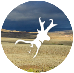 Grassland landscape