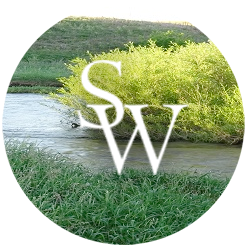 A riverbank
