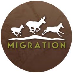Migration logo