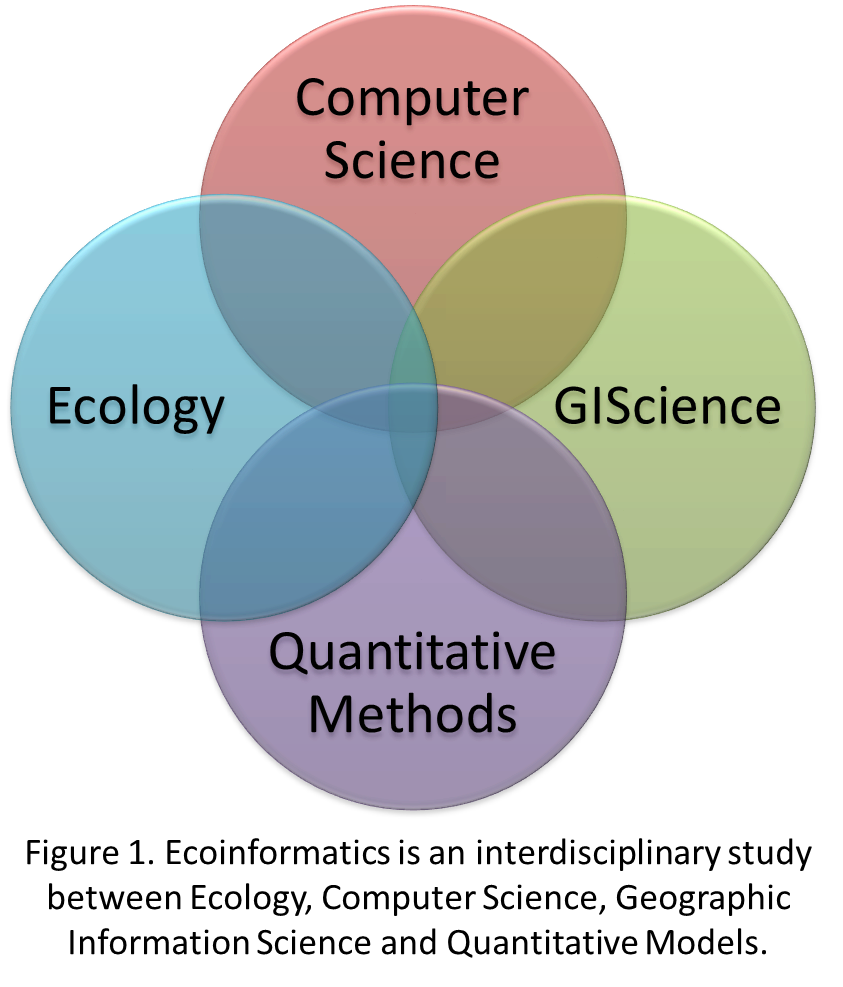 A four way venn diagram.