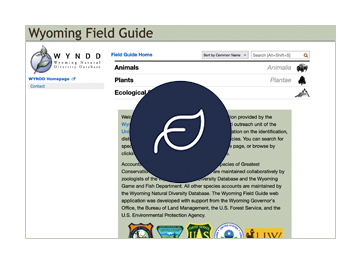 Field guide screenshot with icon of leaf
