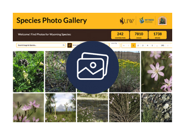 Photo Gallery screenshot with icon of photos