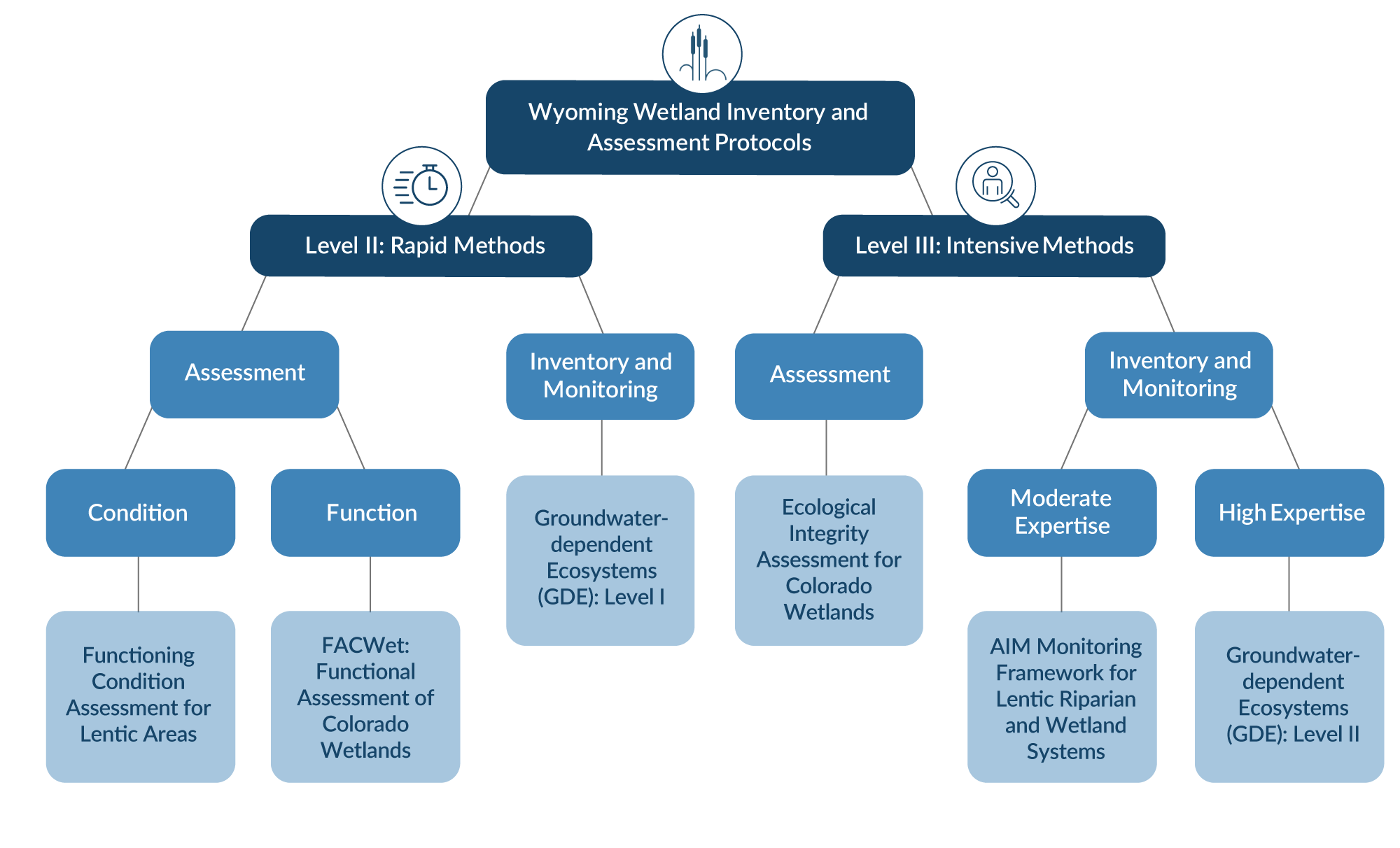 Wetland assessment flowchart