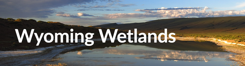 Wyoming wetlands over a lake and sunset