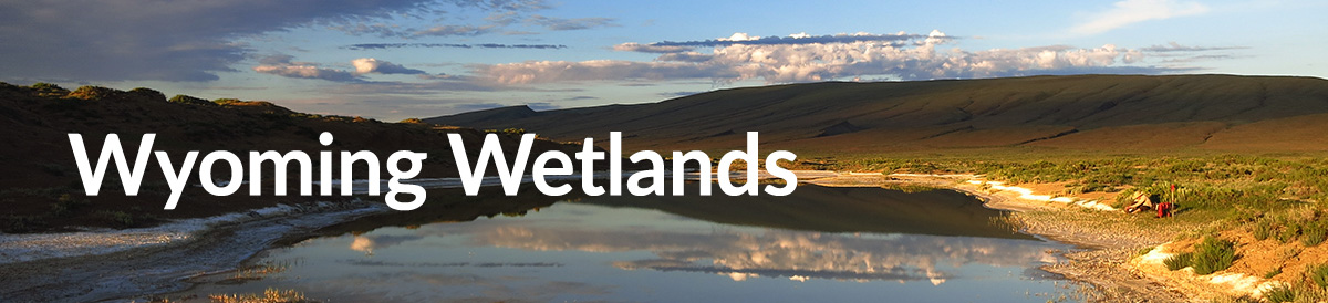 Wyoming Wetlands over a river and grass