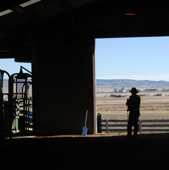 Picture of a cowboy and the mountains