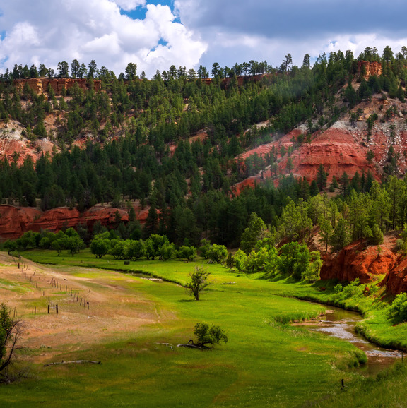 Scenic picture of grass and mountains