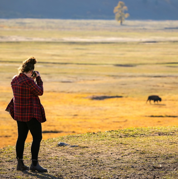 Picture of someone taking a picture of an animal