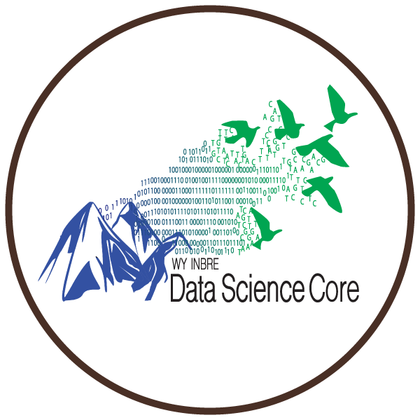 INBRE data science core mountains with binary numbers and birdsicon