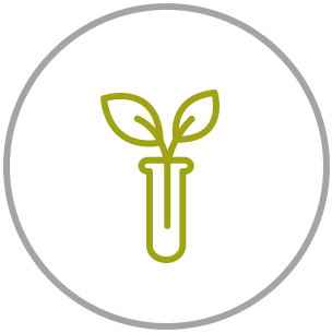 Plant research icon