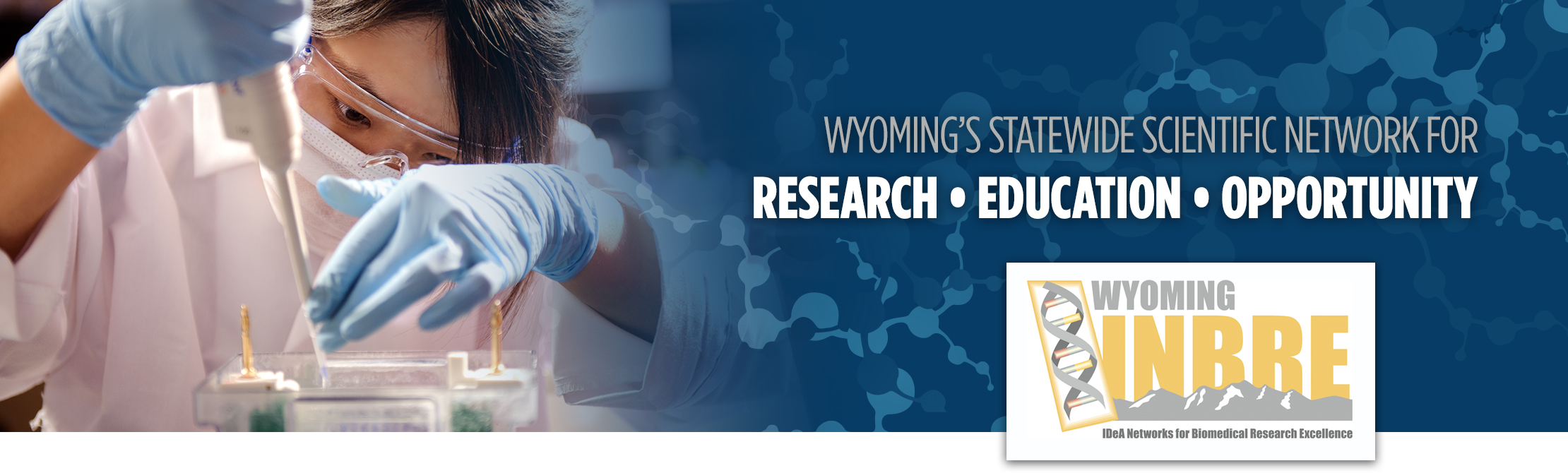 INBRE logo over woman researcher and header: "Wyoming's Statewide Scientific Network for Research, Education, Opportunity"