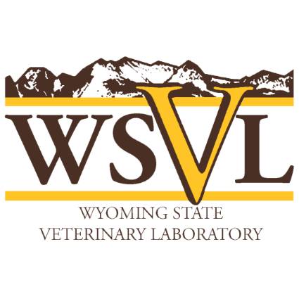 wsvl logo